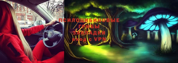 дмт Бутурлиновка