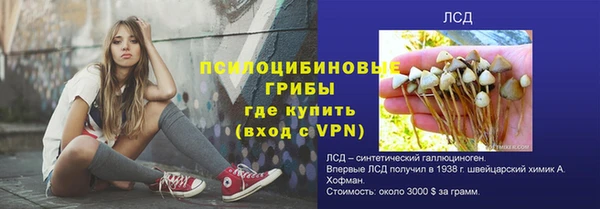 спайс Пересвет