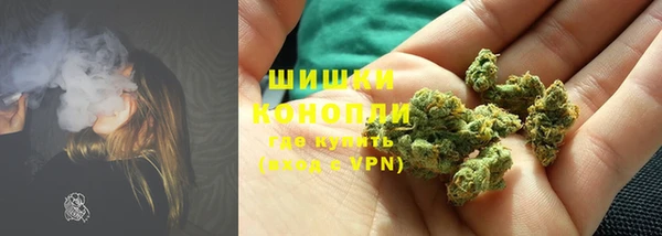 спайс Пересвет