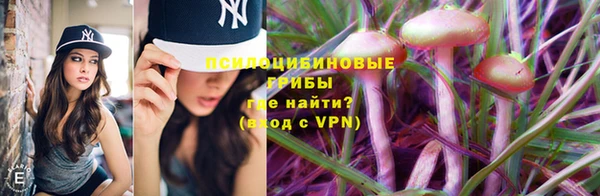дмт Бутурлиновка