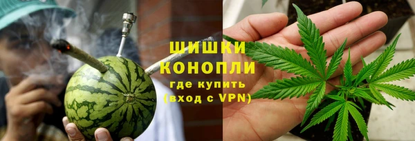 спайс Пересвет